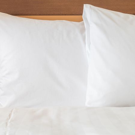 Holiday Inn Express & Suites Albany Zewnętrze zdjęcie